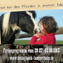 2013-06_flyer_klein_s01.png