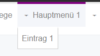Pulldown-Menü